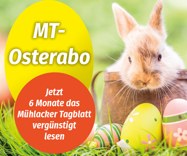 Osterabo-2026-Rectangle